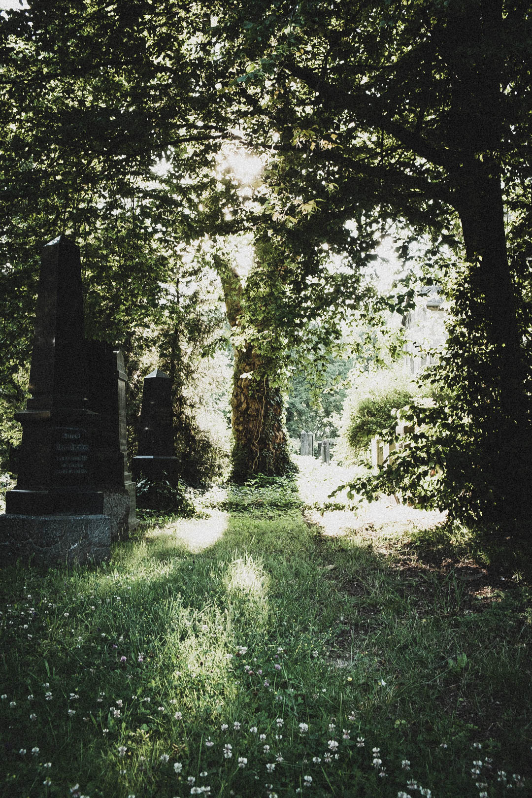 Jüdischer Friedhof Kassel-Bettenhausen